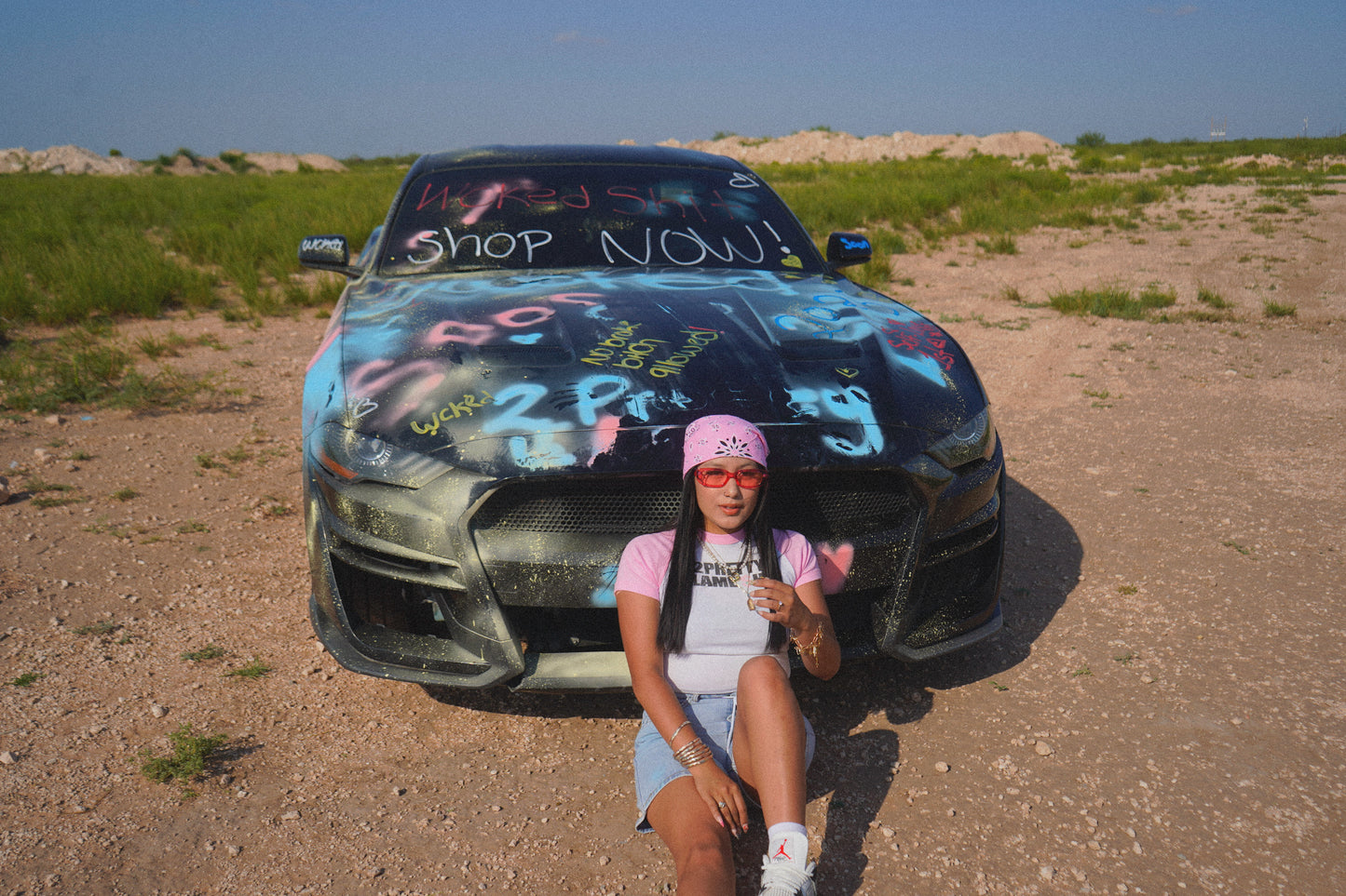 2P4L$ (Pink)
